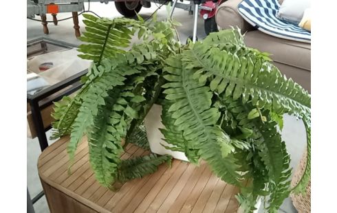 PLANTE ARTIFICIELLE FOUGERE