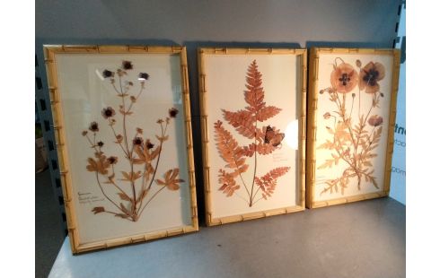 DECORATION PLANCHE HERBIER