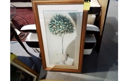 CADRE BOIS CITRONIER