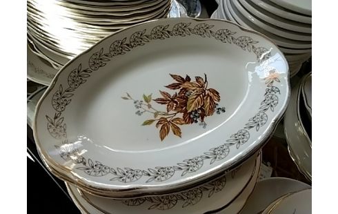 SERVICE Vaisselle automnale