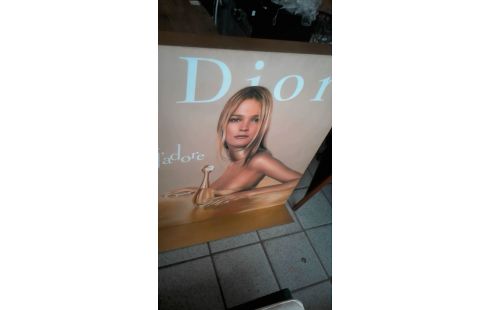 CADRE PUBLICITAIRE  LUMINEUX DIOR