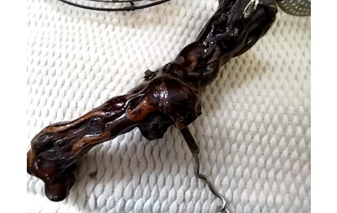 OUVRE BOUTEILLE Bois vigne