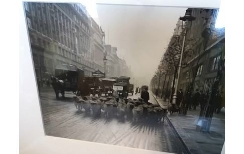 CADRE TROUPEAU MOUTONS