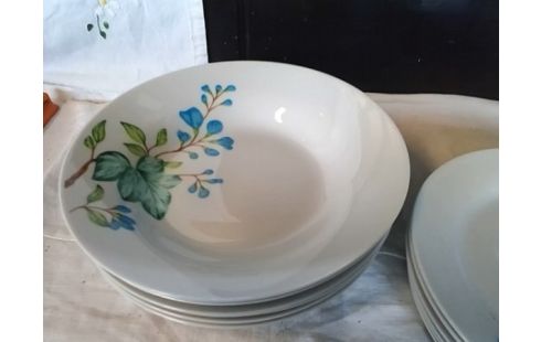 LOT D'ASSIETTES FLEURS BLEUES