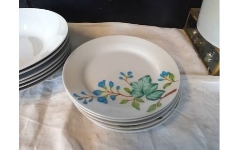 LOT D'ASSIETTES FLEURS BLEUES