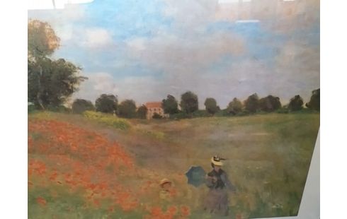 CADRE CHAMPS COQUELICOTS