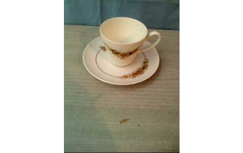 SAMMELTASSEN VERSCHIEDEN PRO STCK.