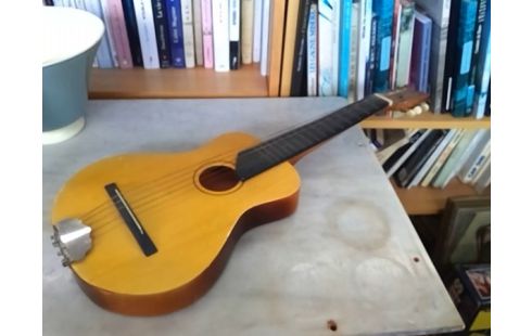 GUITARE PM MANQUE 1 CORDE