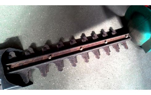 HAAGSCHAAR BOSCH AHS