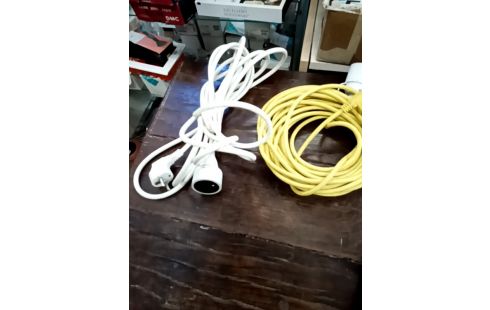 CABLE DE LIAISON RALLONGE