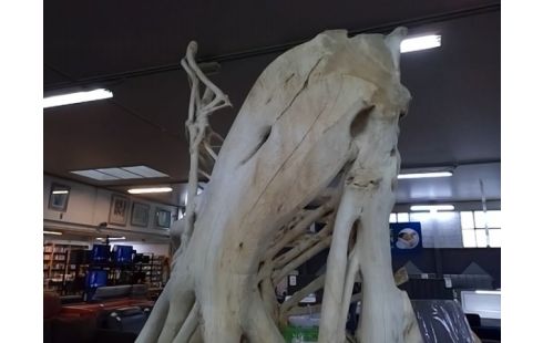 DECORATION BANYAN ROOT H220