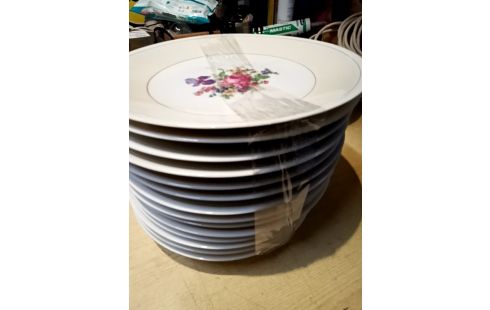 ASSIETTE PLATE LOT