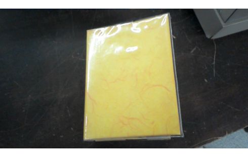 ALBUM DE CARTES POSTALES COLLECTION