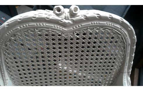 CHAISE BRANCHE BLANCHE