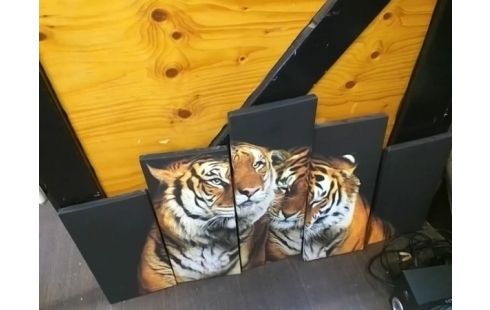 CADRE TIGRES EN 5 PANNEAUX