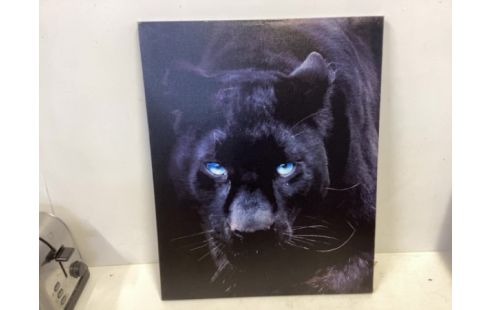 CADRE panthere noire CADRE PANTHERE NOIRE