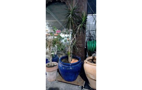 ELEMENTO PARA OCULTAR MACETAS, , PLANTA