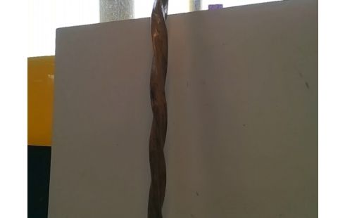 BATON DE RANDONNEE BOIS