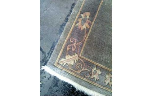 LÄUFER BEIGE MUSTER AM RAND FLORAL GEREIN.