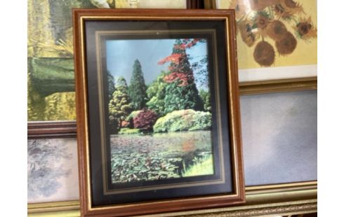 CADRE NATURE A EFFET