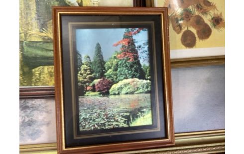 CADRE NATURE A EFFET