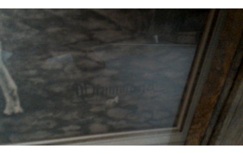 MARCO, , REPRODUCCIÓN