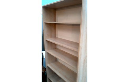 BOEKENKAST BEUK LOOK