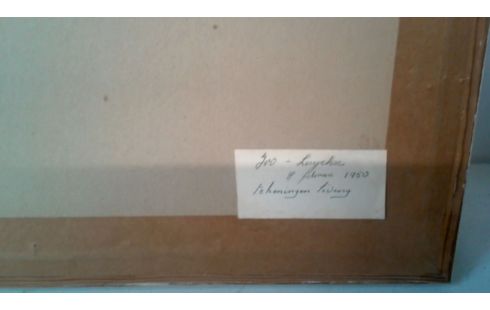 POTLOODTEKENING JOS LUYCKX 1950