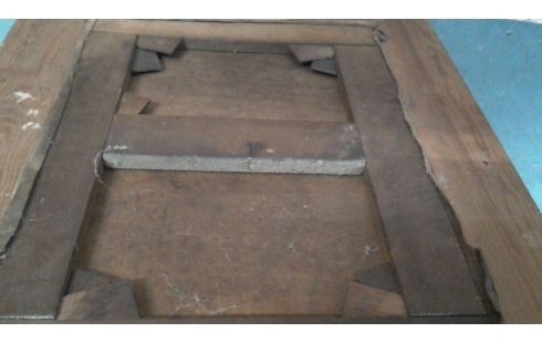 PEINTURE FLEUR, , CADRE DORE