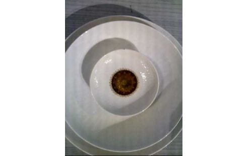 TELLERSET <ROSENTHAL>