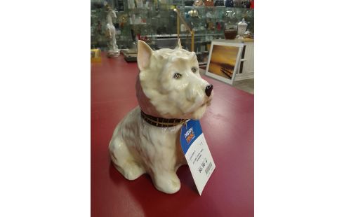 POSTURE CHIEN JAMES BUCHANAN