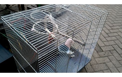 KÄFIG FÜR VOGEL GROSSER GALVANISIERTER
