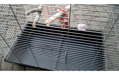 KÄFIG FÜR VOGEL GROSSER GALVANISIERTER