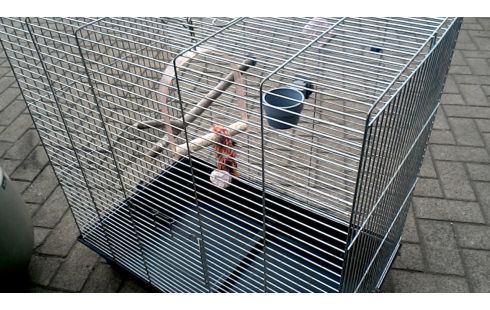 KÄFIG FÜR VOGEL GROSSER GALVANISIERTER
