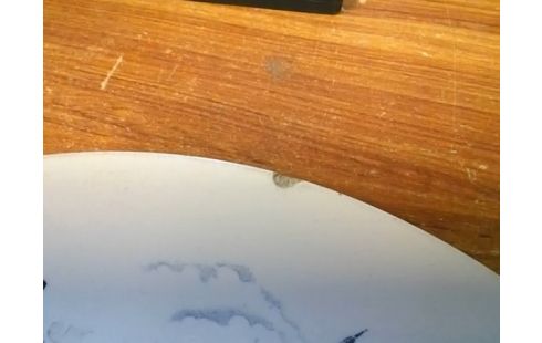 ASSIETTE DECO LONGCHAMP (UN ECLAT)