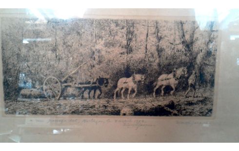 GRAVURE TREKPAARDEN