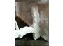 Troc - Image Produit