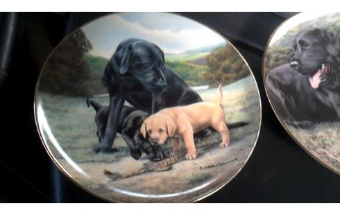 BORD HONDEN FRANKLIN