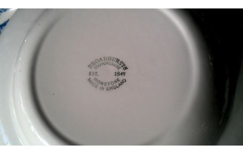 SERVICIO BLANCA AZUL INGLÉS