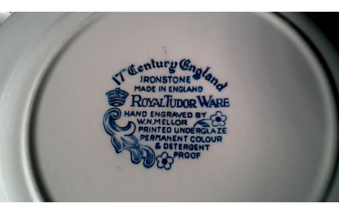 SERVICIO BLANCA AZUL INGLÉS