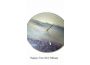 Troc - Image Produit