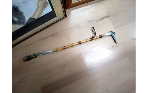 CANNE CHAUSSE PIED CHIEN