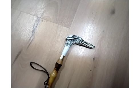 CANNE CHAUSSE PIED CHIEN