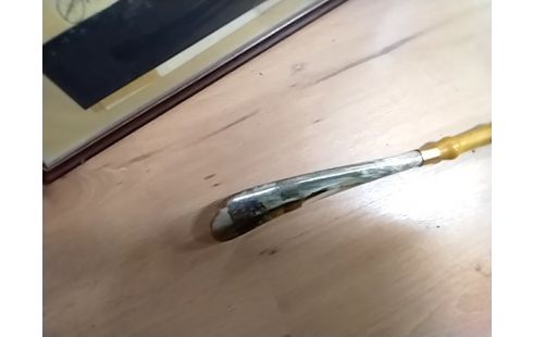 CANNE CHAUSSE PIED CHIEN