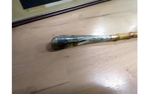 CANNE CHAUSSE PIED CHIEN