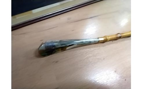 CANNE CHAUSSE PIED CHIEN