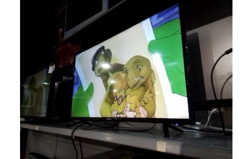 TELEVISEUR LCD GRANDIN 40CM