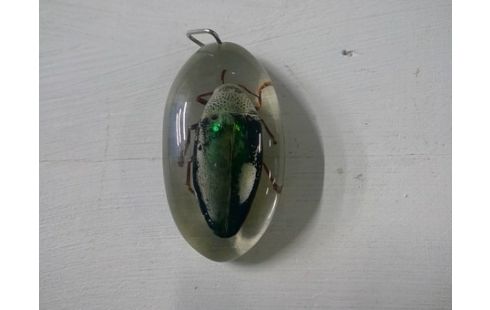 DECORATIE BEESTJE IN RESIN ENTOMOLOGIE