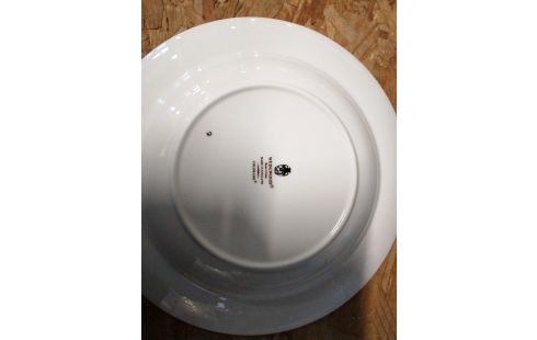 ASSIETTE CREUSE WEDGWOOD CCOLORADO LOT DE 11
