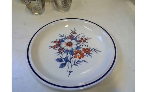 ASSIETTE DECO ALPINE ROSE